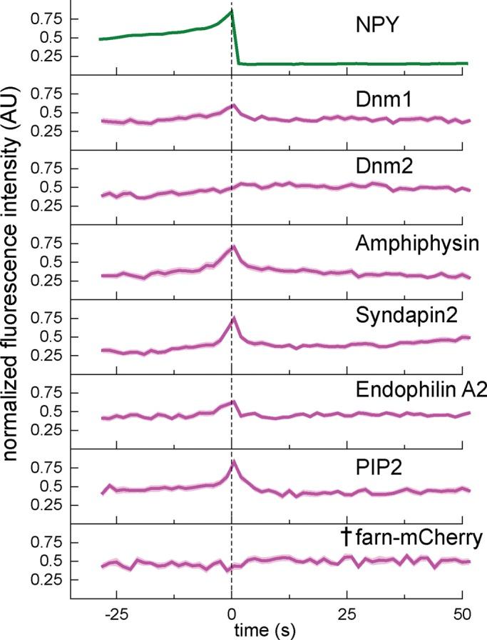 https://cdn.ncbi.nlm.nih.gov/pmc/blobs/1629/4966983/f9c22baab147/2423fig4.jpg