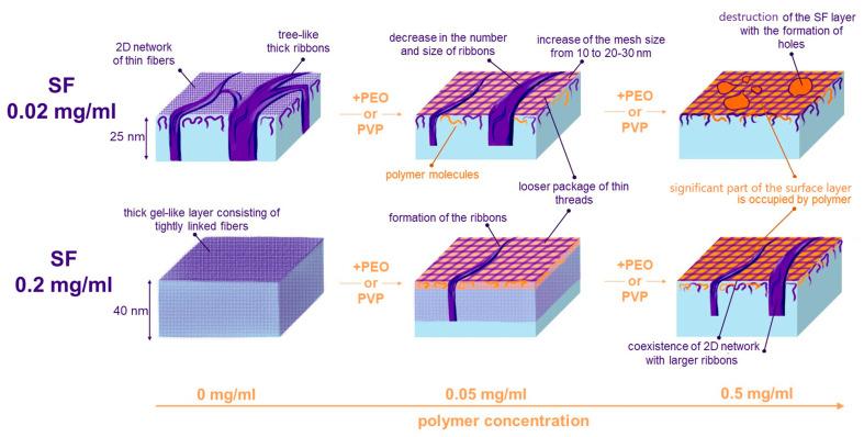 https://cdn.ncbi.nlm.nih.gov/pmc/blobs/162b/12251834/1dae0f9d75be/polymers-17-01733-g008.jpg