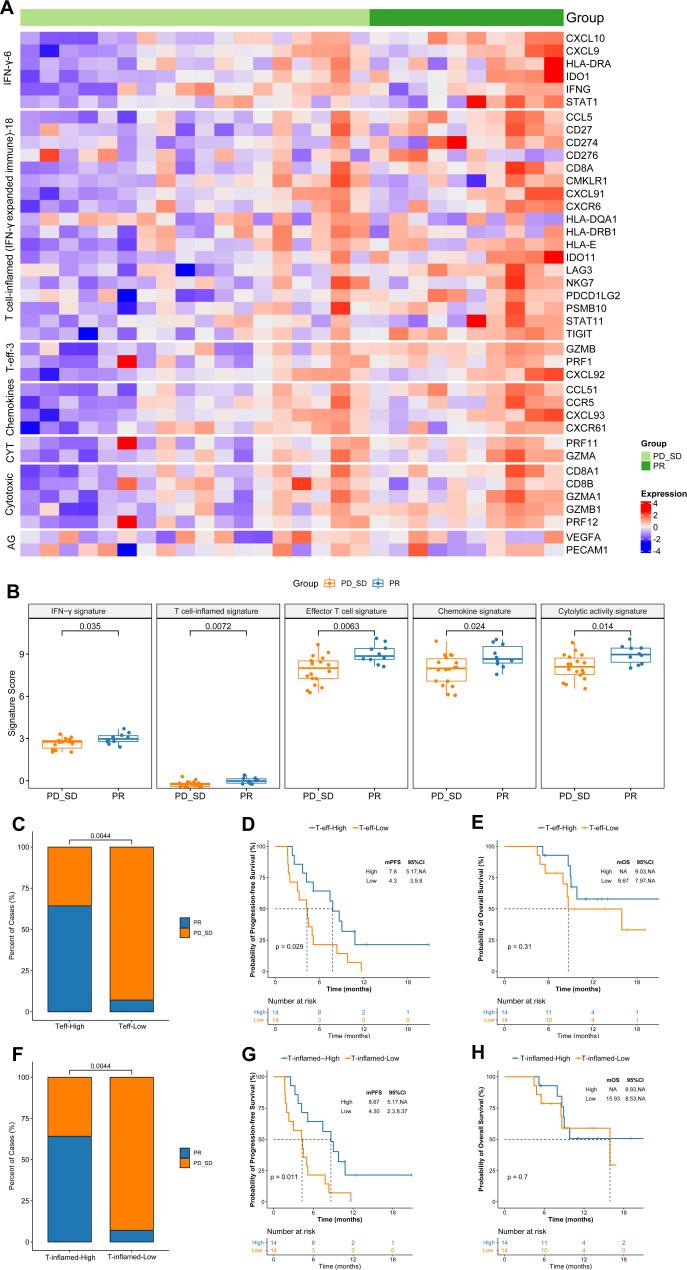 https://cdn.ncbi.nlm.nih.gov/pmc/blobs/162c/10008621/3df65f11be5f/41467_2023_37030_Fig5_HTML.jpg