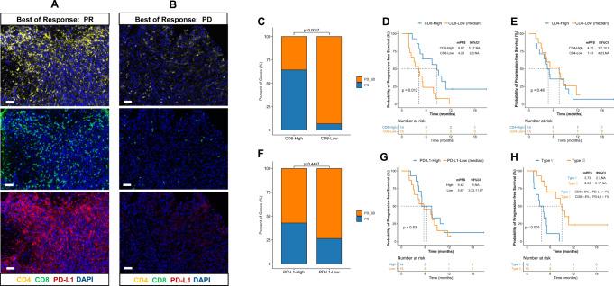 https://cdn.ncbi.nlm.nih.gov/pmc/blobs/162c/10008621/95321de1f290/41467_2023_37030_Fig6_HTML.jpg