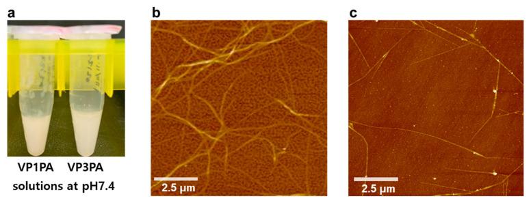 https://cdn.ncbi.nlm.nih.gov/pmc/blobs/162f/7760352/367b458d4ab1/nanomaterials-10-02342-g003.jpg