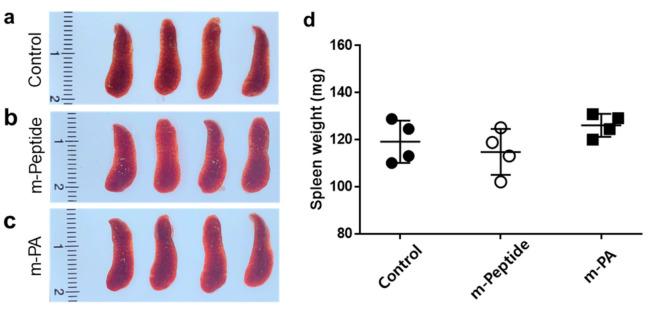 https://cdn.ncbi.nlm.nih.gov/pmc/blobs/162f/7760352/5e941b1c796c/nanomaterials-10-02342-g004.jpg