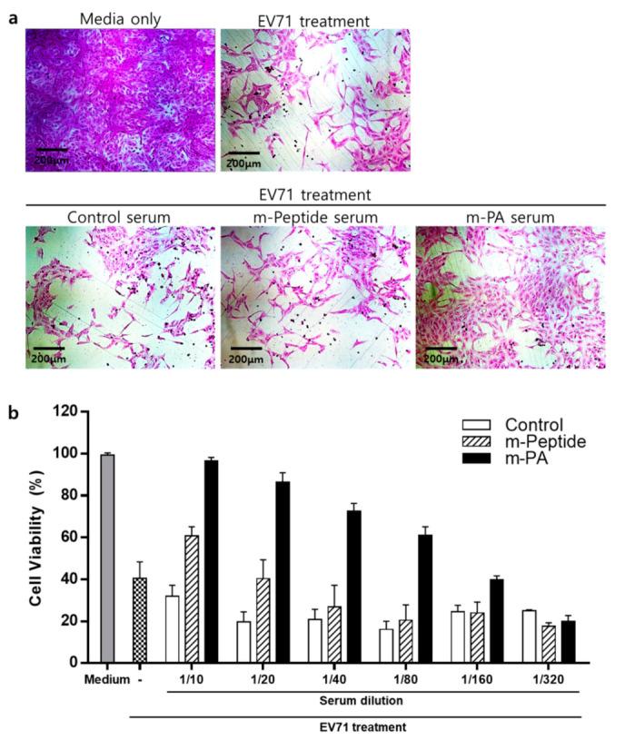 https://cdn.ncbi.nlm.nih.gov/pmc/blobs/162f/7760352/f26d21a2d005/nanomaterials-10-02342-g007.jpg