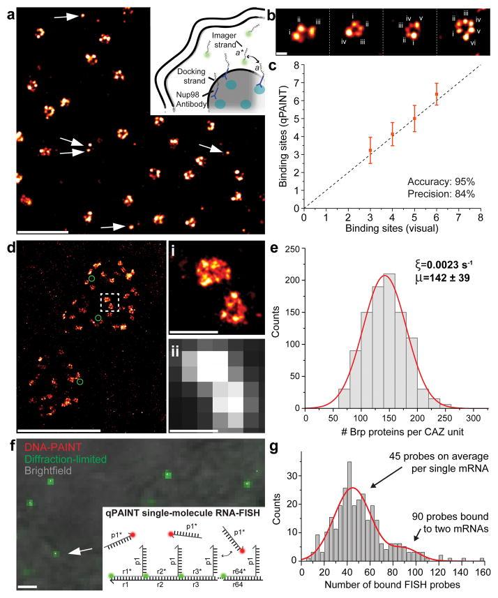 https://cdn.ncbi.nlm.nih.gov/pmc/blobs/1630/4941813/fde26544e1d9/nihms763946f3.jpg
