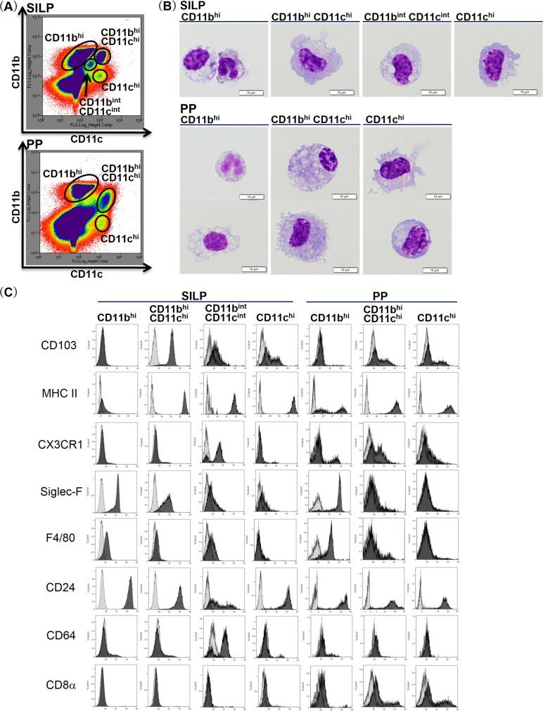 https://cdn.ncbi.nlm.nih.gov/pmc/blobs/1630/5049916/f969caa6101b/pone.0163607.g001.jpg