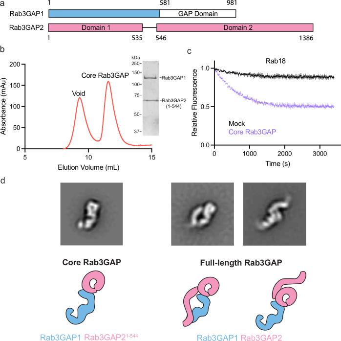 https://cdn.ncbi.nlm.nih.gov/pmc/blobs/1632/11711316/275ce32c1b94/41467_2025_55828_Fig2_HTML.jpg