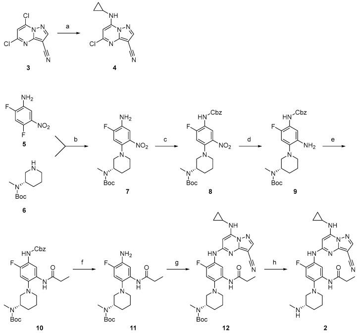 https://cdn.ncbi.nlm.nih.gov/pmc/blobs/1633/11397024/6ac49fbcd479/molecules-29-04158-sch001.jpg