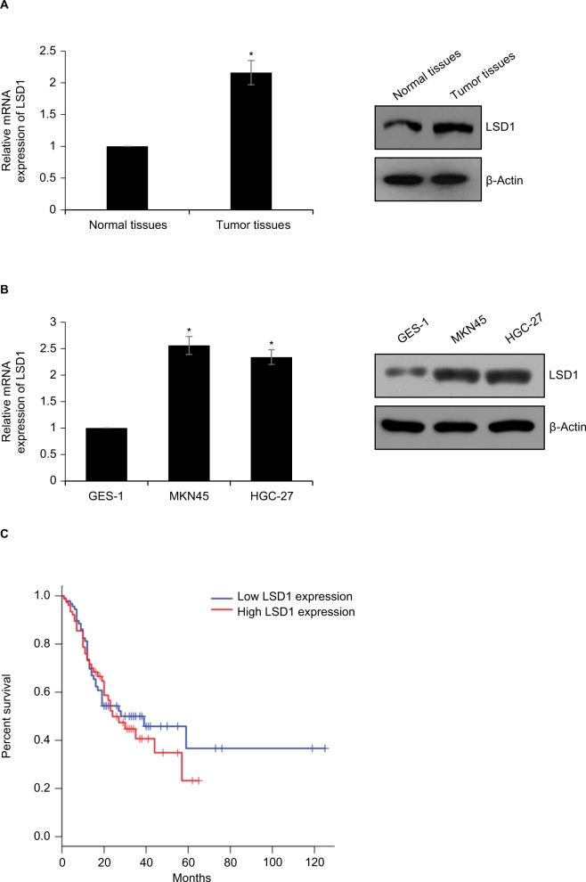 https://cdn.ncbi.nlm.nih.gov/pmc/blobs/1633/6526921/4393cae05820/cmar-11-4481Fig1.jpg