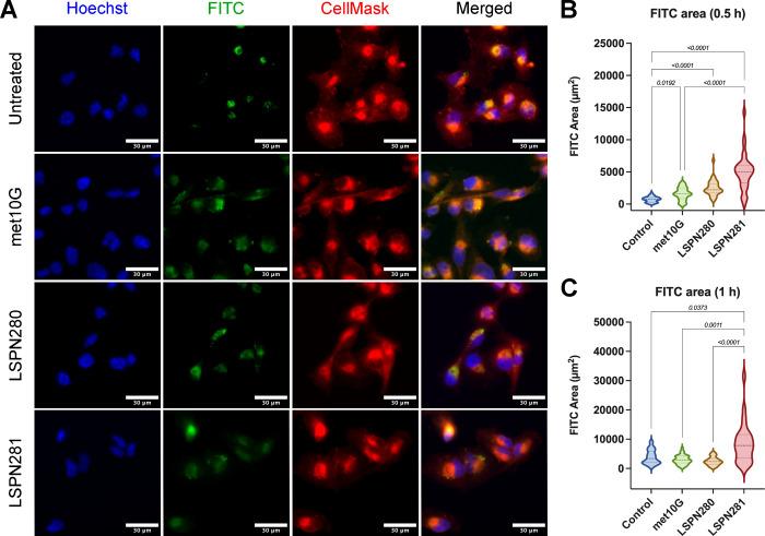 https://cdn.ncbi.nlm.nih.gov/pmc/blobs/1634/11912263/b7cf71039776/ml4c00596_0002.jpg