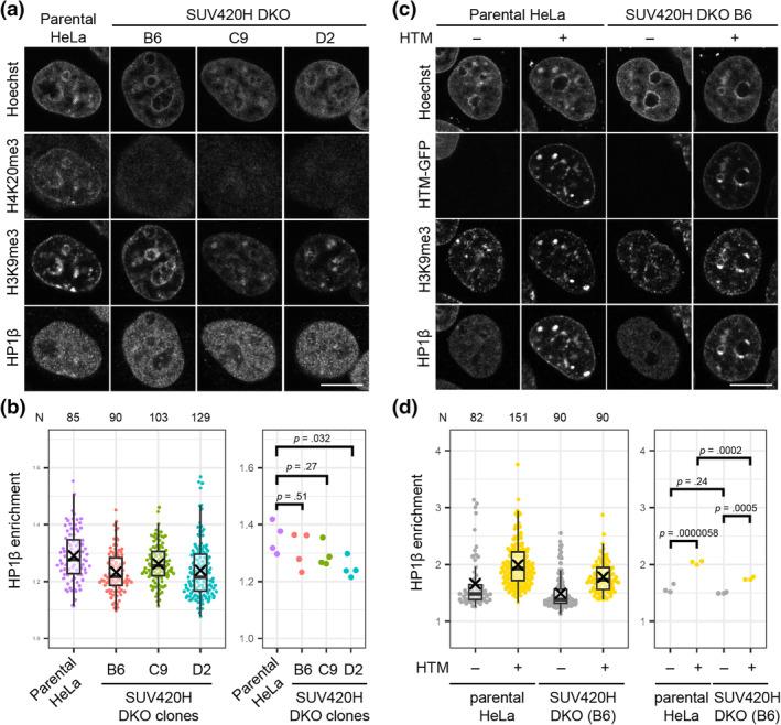 https://cdn.ncbi.nlm.nih.gov/pmc/blobs/1636/11163940/a198e56ec90d/GTC-29-361-g004.jpg