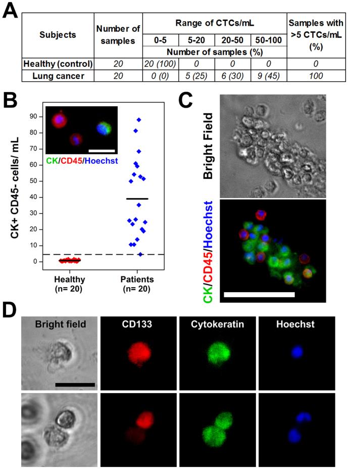 https://cdn.ncbi.nlm.nih.gov/pmc/blobs/1636/3569917/973c0337d9eb/srep01259-f4.jpg