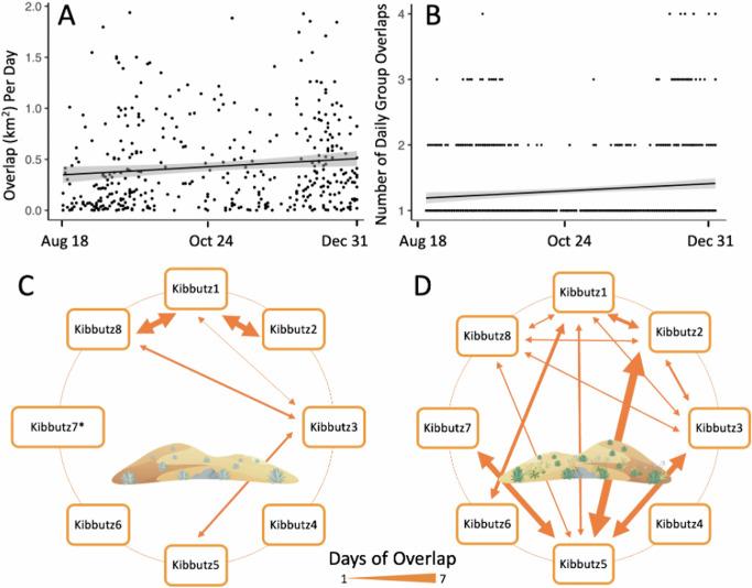 https://cdn.ncbi.nlm.nih.gov/pmc/blobs/1637/12019365/2f6cebfcf453/44185_2025_78_Fig4_HTML.jpg
