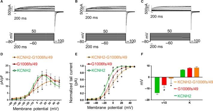 https://cdn.ncbi.nlm.nih.gov/pmc/blobs/1638/6714209/19d7786e5a91/JCMM-23-6331-g003.jpg