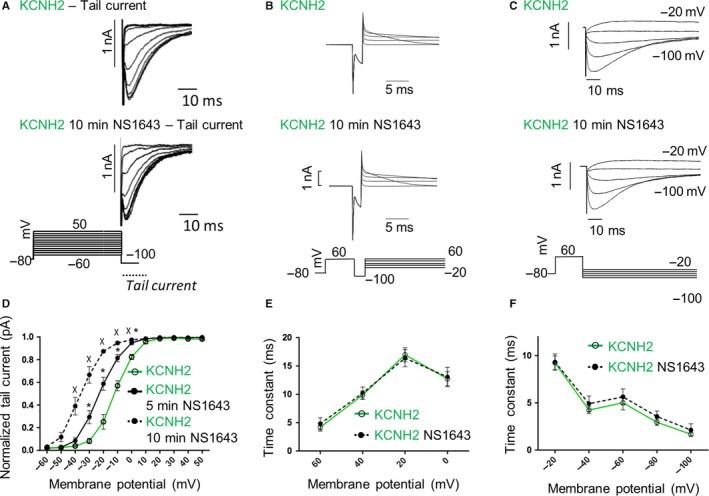 https://cdn.ncbi.nlm.nih.gov/pmc/blobs/1638/6714209/76dd5425d3e5/JCMM-23-6331-g006.jpg