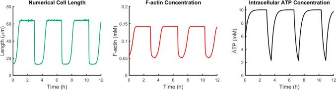 https://cdn.ncbi.nlm.nih.gov/pmc/blobs/163b/9626447/a86469280474/10237_2022_1604_Fig6_HTML.jpg