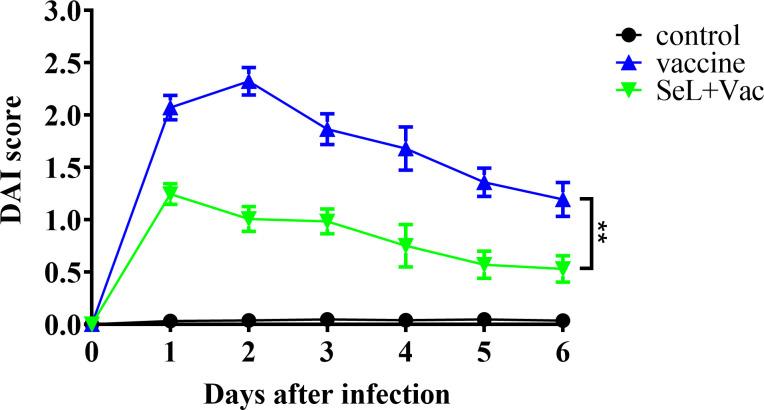 https://cdn.ncbi.nlm.nih.gov/pmc/blobs/163c/9922588/8b93b4f90318/fimmu-14-1116223-g008.jpg