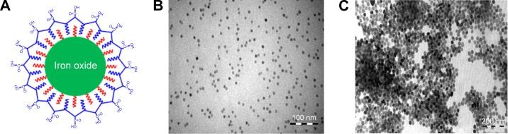 https://cdn.ncbi.nlm.nih.gov/pmc/blobs/163d/5028097/24dba7335e2e/ijn-11-4625Fig1.jpg