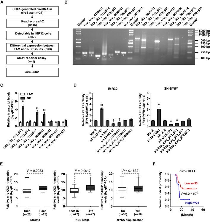 https://cdn.ncbi.nlm.nih.gov/pmc/blobs/163f/6895612/066fc8290111/EMMM-11-e10835-g003.jpg