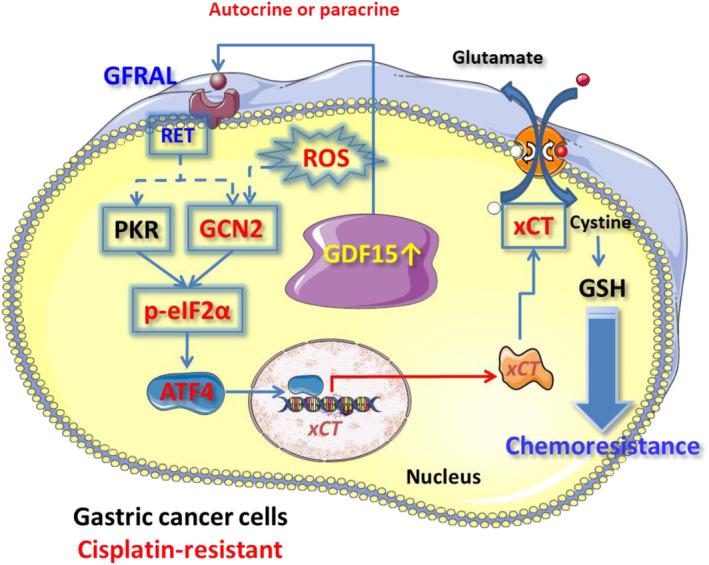 https://cdn.ncbi.nlm.nih.gov/pmc/blobs/1644/10394154/84e66685a999/CAS-114-3301-g010.jpg