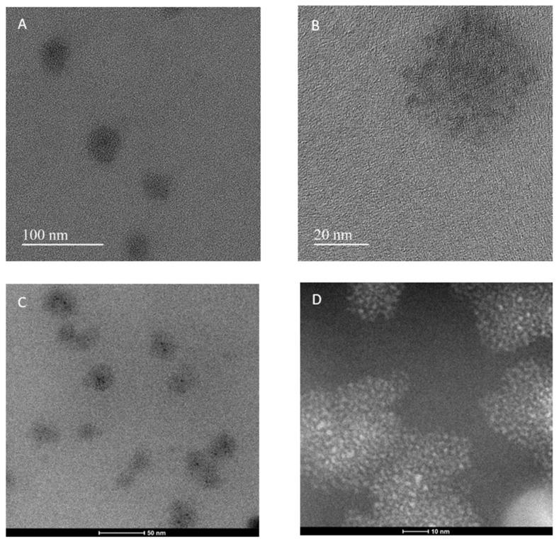 https://cdn.ncbi.nlm.nih.gov/pmc/blobs/1644/10781119/267ac0724933/nanomaterials-14-00010-g003.jpg