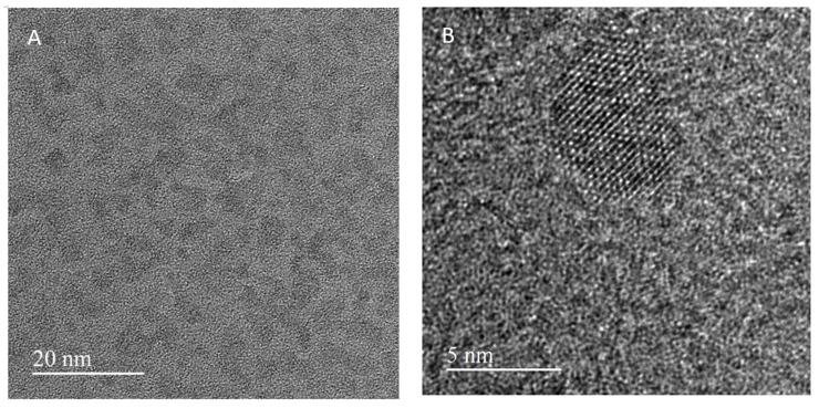 https://cdn.ncbi.nlm.nih.gov/pmc/blobs/1644/10781119/28b620f90439/nanomaterials-14-00010-g004.jpg