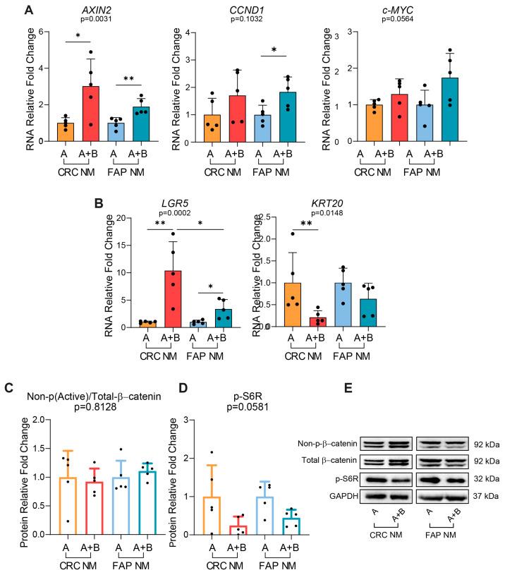 https://cdn.ncbi.nlm.nih.gov/pmc/blobs/1646/11546270/11094e30b47d/ijms-25-11526-g005.jpg