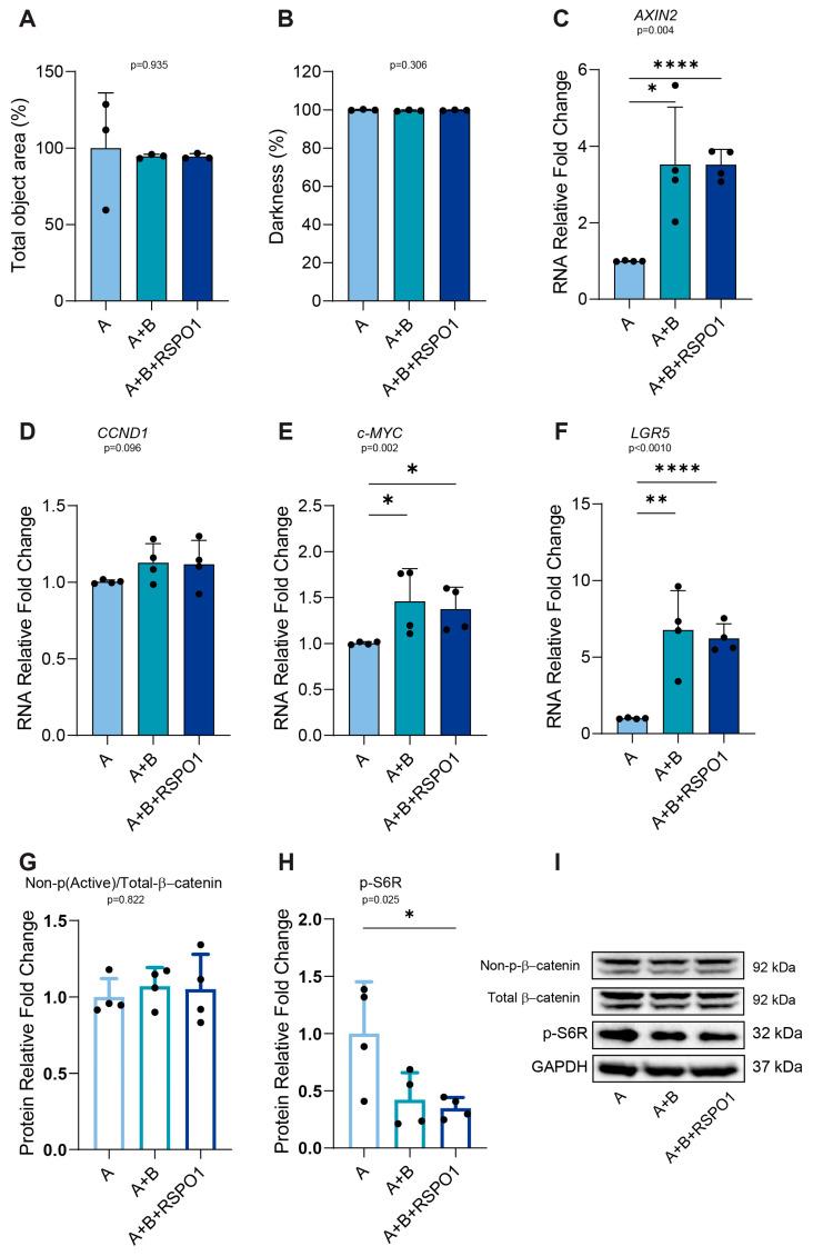 https://cdn.ncbi.nlm.nih.gov/pmc/blobs/1646/11546270/30c4324fc0fb/ijms-25-11526-g006.jpg