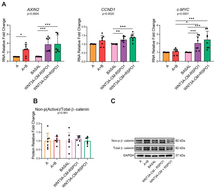 https://cdn.ncbi.nlm.nih.gov/pmc/blobs/1646/11546270/82ff5f03b927/ijms-25-11526-g002.jpg