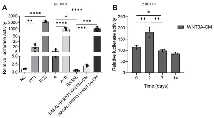 https://cdn.ncbi.nlm.nih.gov/pmc/blobs/1646/11546270/fedf214ad90d/ijms-25-11526-g001.jpg