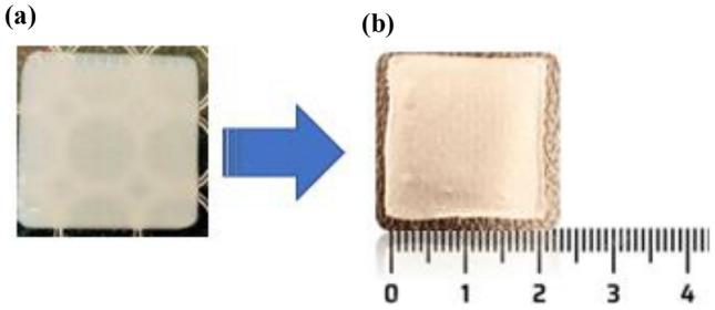 https://cdn.ncbi.nlm.nih.gov/pmc/blobs/1648/10927780/2ac3b84c6531/13346_2023_1446_Fig9_HTML.jpg