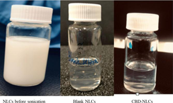https://cdn.ncbi.nlm.nih.gov/pmc/blobs/1648/10927780/d88c9421d0c2/13346_2023_1446_Fig8_HTML.jpg