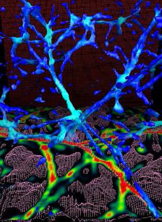 https://cdn.ncbi.nlm.nih.gov/pmc/blobs/1649/5256120/705085bb0949/41114_2016_9_Fig5.jpg