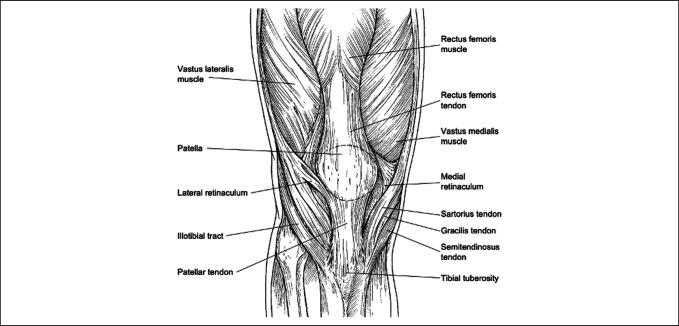 https://cdn.ncbi.nlm.nih.gov/pmc/blobs/164c/10994452/5fc0a12518f9/jagrr-8-e24.00060-g001.jpg