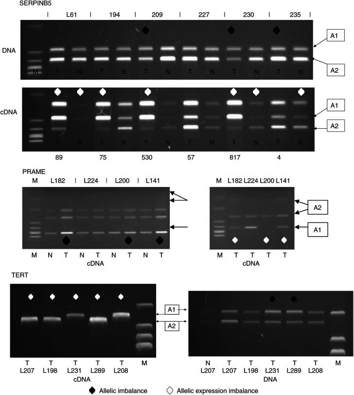 https://cdn.ncbi.nlm.nih.gov/pmc/blobs/164c/2361619/81eb4ba91f19/93-6602779f4.jpg