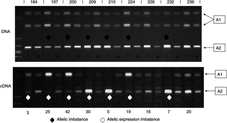 https://cdn.ncbi.nlm.nih.gov/pmc/blobs/164c/2361619/d1d9ea47ee8d/93-6602779f3.jpg