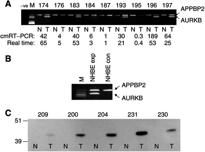 https://cdn.ncbi.nlm.nih.gov/pmc/blobs/164c/2361619/f988bae595c9/93-6602779f1.jpg