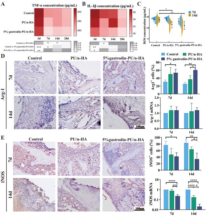 https://cdn.ncbi.nlm.nih.gov/pmc/blobs/1653/11577785/5e342cc5de9e/12951_2024_2886_Fig2_HTML.jpg