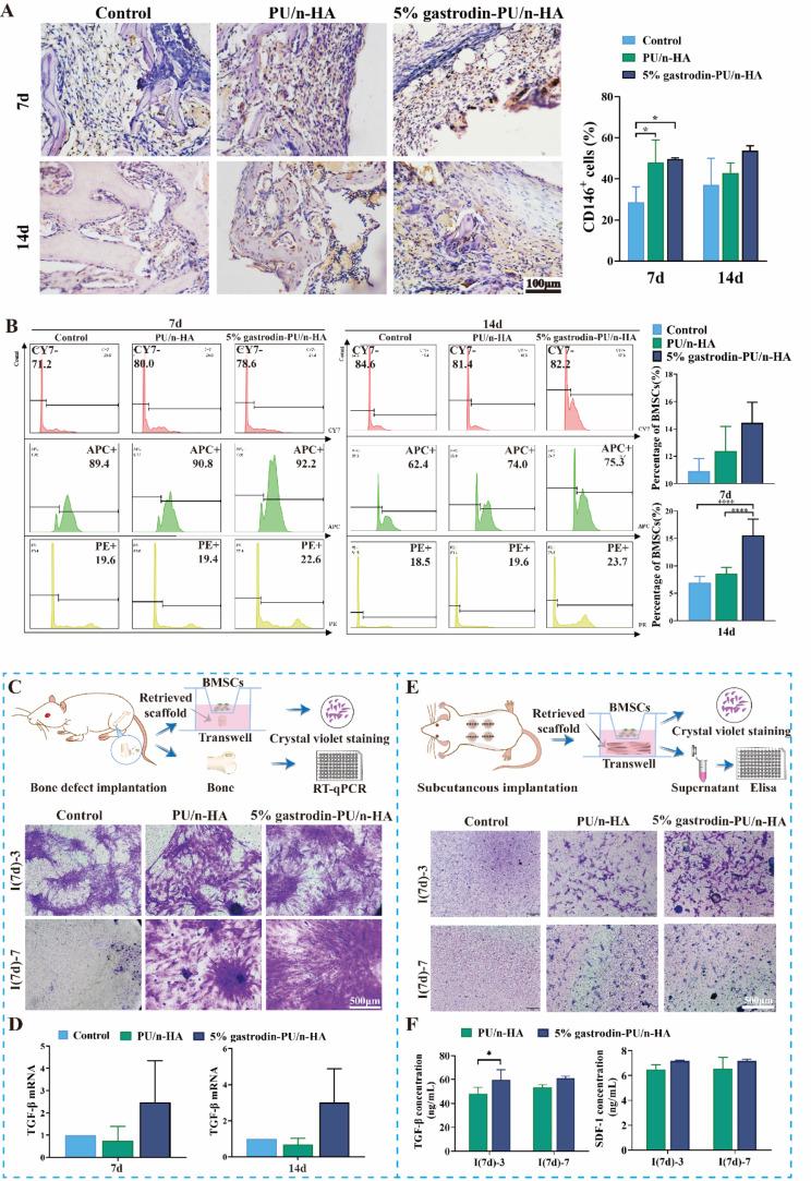 https://cdn.ncbi.nlm.nih.gov/pmc/blobs/1653/11577785/62336492edaf/12951_2024_2886_Fig3_HTML.jpg