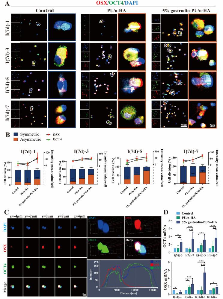 https://cdn.ncbi.nlm.nih.gov/pmc/blobs/1653/11577785/83bbc295b5c0/12951_2024_2886_Fig5_HTML.jpg