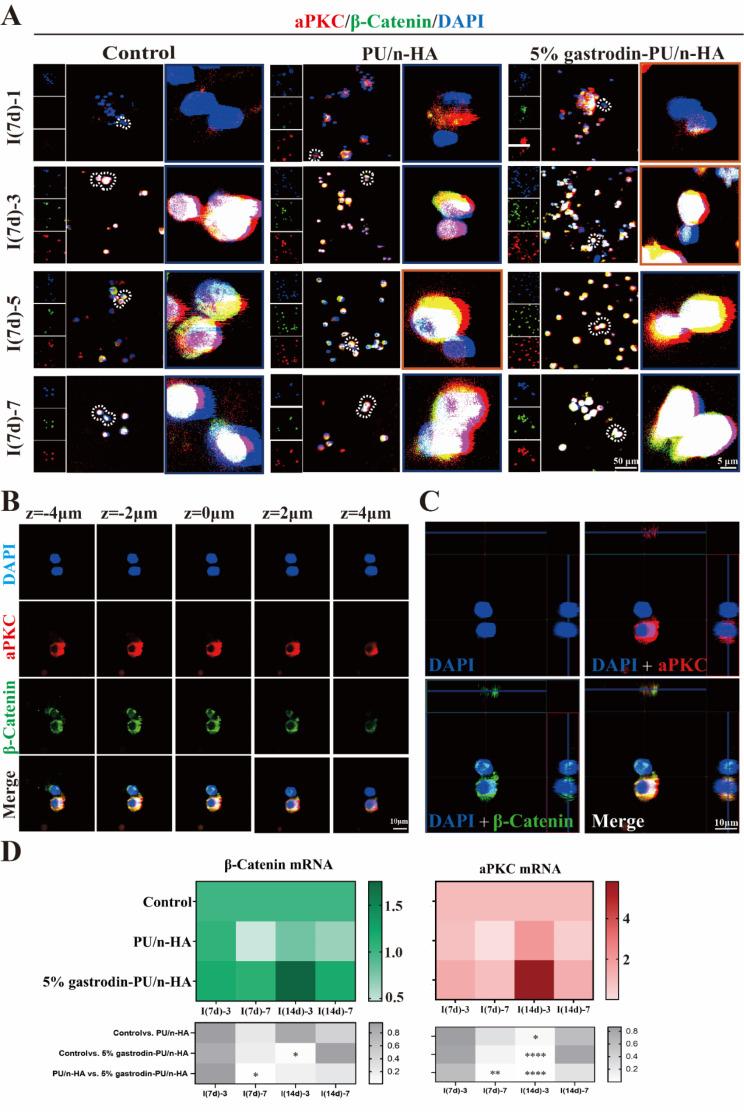 https://cdn.ncbi.nlm.nih.gov/pmc/blobs/1653/11577785/b6da31c241e8/12951_2024_2886_Fig6_HTML.jpg