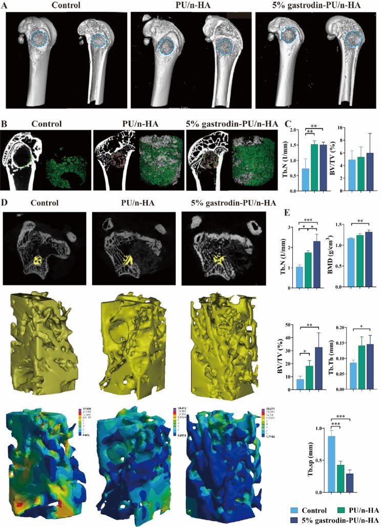https://cdn.ncbi.nlm.nih.gov/pmc/blobs/1653/11577785/e2019258b172/12951_2024_2886_Fig9_HTML.jpg