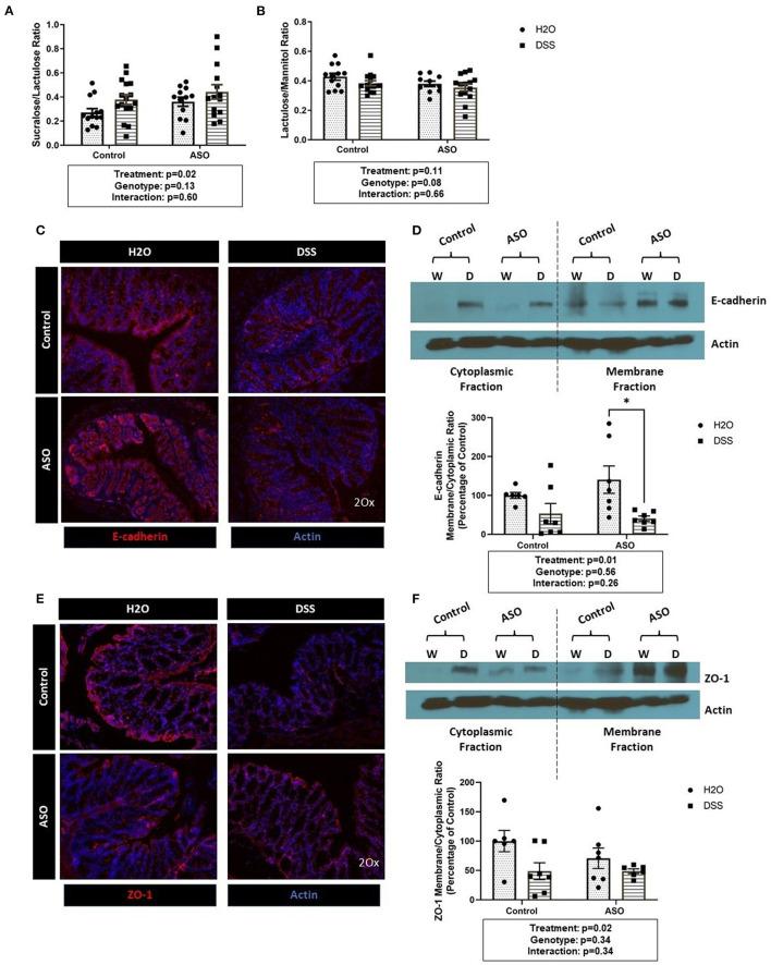 https://cdn.ncbi.nlm.nih.gov/pmc/blobs/1659/9159909/c093a6f4c9e3/fneur-13-882628-g0002.jpg