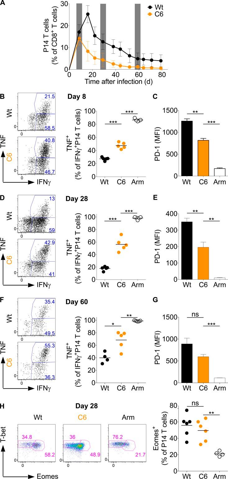 https://cdn.ncbi.nlm.nih.gov/pmc/blobs/165b/4995073/049d7939c03a/JEM_20150598_Fig7.jpg