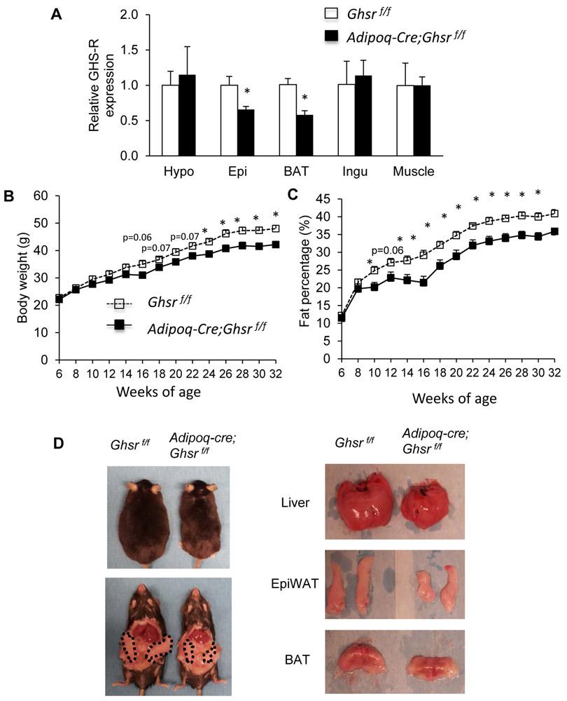 https://cdn.ncbi.nlm.nih.gov/pmc/blobs/165e/8238886/6a318153b5f1/nihms-1692850-f0001.jpg
