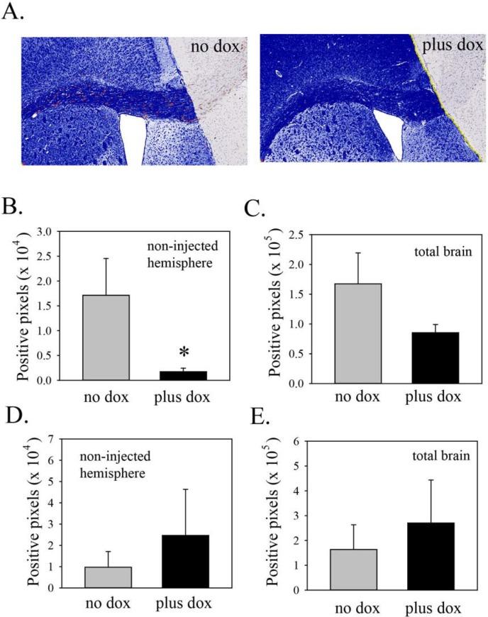 https://cdn.ncbi.nlm.nih.gov/pmc/blobs/1660/4294391/265401e67f33/oncotarget-05-11541-g004.jpg
