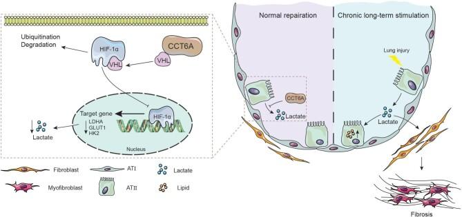 https://cdn.ncbi.nlm.nih.gov/pmc/blobs/1661/11574388/17c6a37efb6c/mjae021fig7.jpg