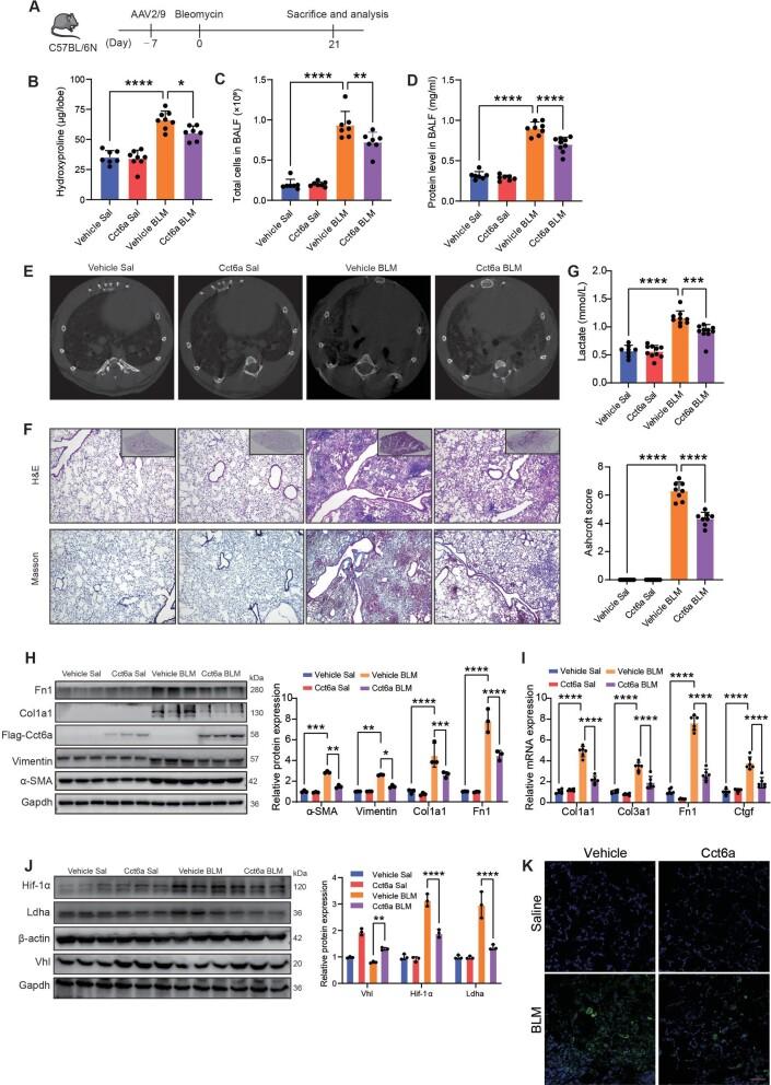 https://cdn.ncbi.nlm.nih.gov/pmc/blobs/1661/11574388/32c9b38d0aad/mjae021fig6.jpg