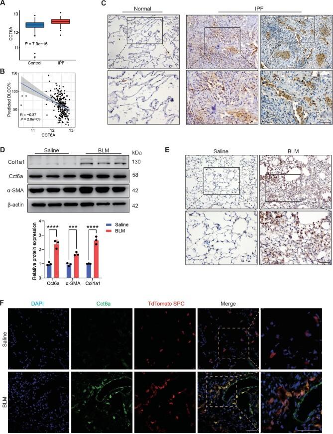 https://cdn.ncbi.nlm.nih.gov/pmc/blobs/1661/11574388/e58b74bd3ffe/mjae021fig1.jpg