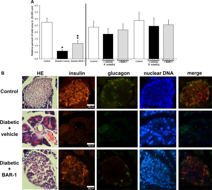 https://cdn.ncbi.nlm.nih.gov/pmc/blobs/1661/7055595/b59067667b55/41387_2020_110_Fig3_HTML.jpg