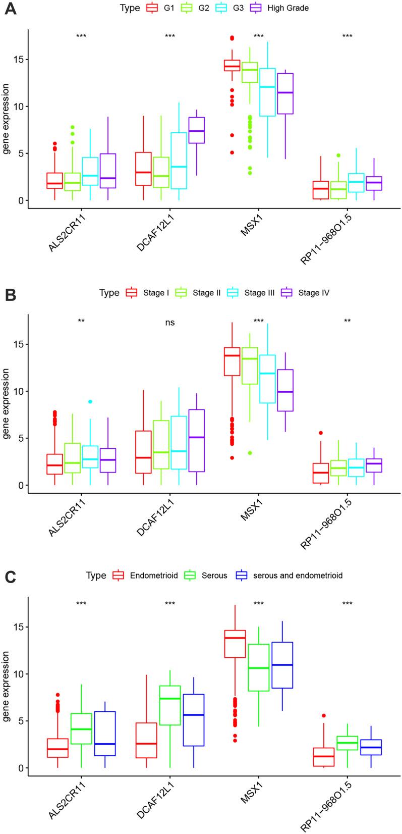 https://cdn.ncbi.nlm.nih.gov/pmc/blobs/1661/8725853/27490ebac4ff/IJGM-14-10541-g0005.jpg